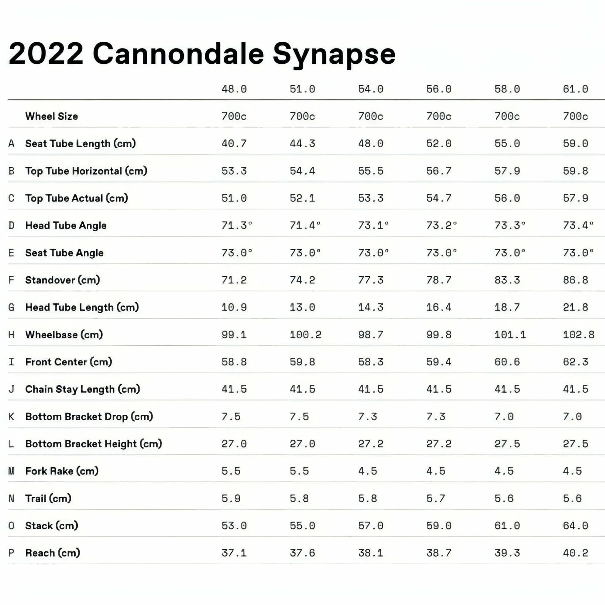Cannondale Synapse Carbon 4 Road Bike 2024 - Pine