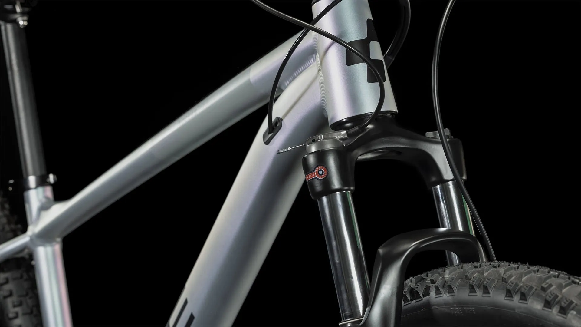 Cube Access WS Pro Womens Mountain Bike 2024 - Galactic